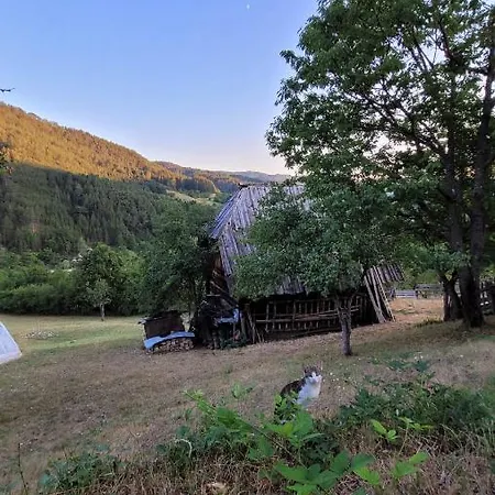 Panorama アパート