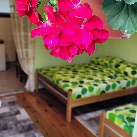 Panorama * モクラ・ゴラ