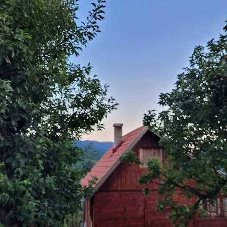 Panorama * Mokra Gora