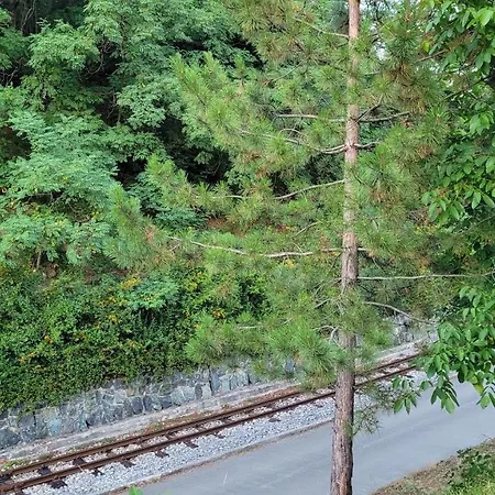 Apartamento Panorama Mokra Gora