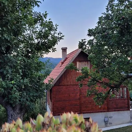 Panorama Apartment *